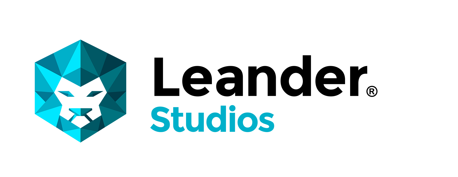 Logo leander studio