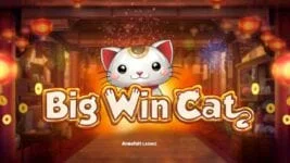 Big Win Cat-logo med en katt