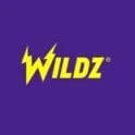 Wildz casino logo
