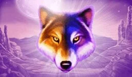 21 com wolf gold eksklusiv kampanje mars 2021