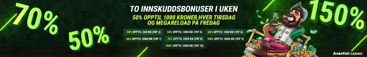 Andre kampanjer på fastpay casino