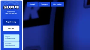 Bilde av hjemmesiden til slotti casino