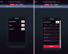 Første innskudd på Instaslots